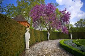 8 Of The Best Botanical Gardens Around The World In 2020 Kew Gardens Kew Gardens London Botanical Gardens