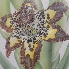 Michelle Collis (@michelle_collis) • Instagram photos and videos