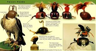 amuniciya i snaryazhenie dlya sokolinoj ohoty praktika sokolinoj ohoty associaciya sokolnikov ohota sokoly pticy