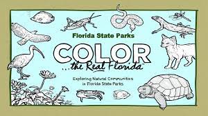 Additionally, there are coloring sheets to print or use on your favorite device with. Programs Florida State Parks