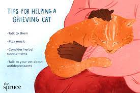 The only sure way to deal with grief is to go through it and. Helping Cats Cope With Loss Of Other Pets