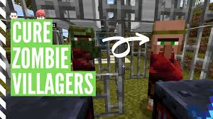 Since you can't get potions you will need a witch to weaken the zombie villagers so you can feed it a golden apple. How To Cure A Zombie Villager In Minecraft Step By Step
