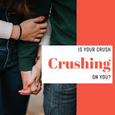 Check spelling or type a new query. 15 Signs Your Crush Likes You Back Pairedlife