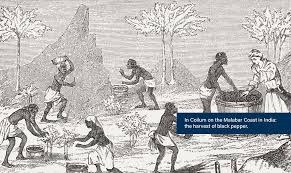 Peasant Movements in India, History ...