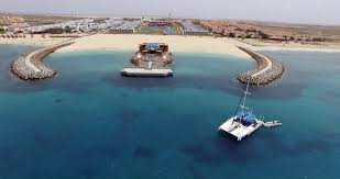 Image result for Melia