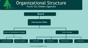 Organizational Structure Youth Go Green