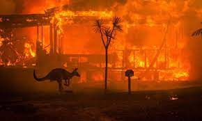 El sudeste de australia, donde se está experimentando la peor oleada de incendios, sufre la peor sequía desde que hay registros. Devastadores Incendios Forestales En Australia Historias Descubre Wwf