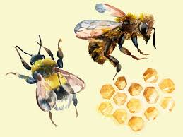 Bees are flying neutral mobs that live in bee nests and beehives. National Honey Bee Day Everything You Need To Attract Pollinators Into Your Garden The Independent