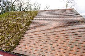 We did not find results for: Just Fascias Now Offering Roof Cleaning And Moss Removal Services To Kent And Surrey Homeowners