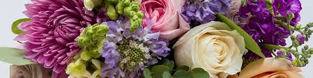 Check spelling or type a new query. Wedding Flowers Order Ahead Jewelosco