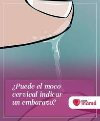 Pin En Preconcepcion