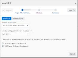 Java Runtime Environment Management