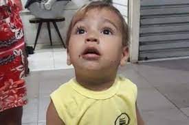 Criança de dois anos desapareceu de casa entre as 5:00 e as 8:00 da manhã com a cadela, que já foi encontrada. Caes Farejadores Fazem Buscas Por Menino De 2 Anos Desaparecido