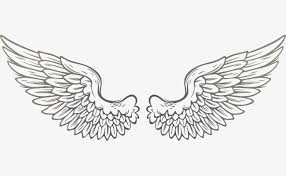 Black And White Angel Wings Png Vector Wings Png And Vector Angel Wings Tattoo Stencil Wings Tattoo Wings Drawing