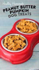 Well, this is pretty much the crockpot version, using a blend of different veggies that will hold up a little better in the slow cooker. Vegan Dog Treat
