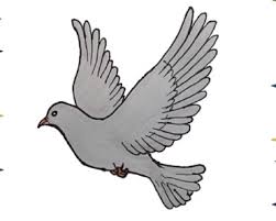 On the top of the beak add the nose marking. How To Draw A Dove For Beginners Archives How To Draw Step By Step