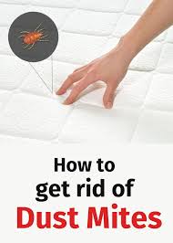 Dust Mites Cause Skin And Eyes Irritation Atopic Dermatitis Rhinitis Asthma Sneezing See How To Get Rid Of Them Here Dust Mites How To Get Rid How To Get