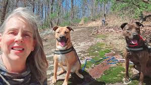Hiking with dogs in southeastern Kentucky mountains