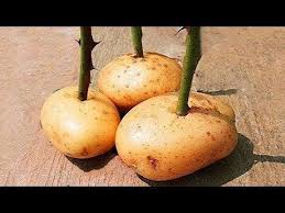 Pin Auf Ideen Rund Ums Haus