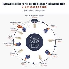 Horarios De Alimentacion Para Bebes Solid Starts