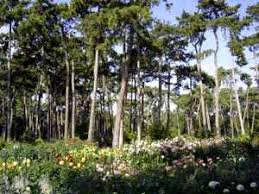 Today, scattered among its trees and lawns are peaceful lakes, bird reserves, a farm and even a castle. Bois De Vincennes