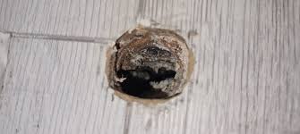 Image result for site:byggahus.se rötskada