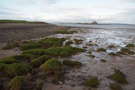 Our barrow in furness hotel is a short walk from the many shops, trendy waterside eateries and lively bars and clubs of the bustling town centre, and close. Walney Island Walk On The Wild Side Tammy Tour Guide