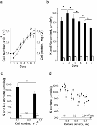Check spelling or type a new query. Proliferation Related Changes In K Content In Human Mesenchymal Stem Cells Scientific Reports