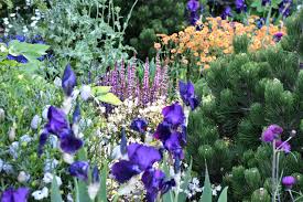 Main Avenue Show Gardens Lisa Cox Garden Designs Blog