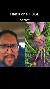 #duet with @gardenmama40 you trippin 😒 #blowthisup #viral #fyp  #goodpersonality #relatable #funny