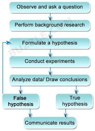 Steps Of The Scientific Method Scientific Method Scientific Scientific Method Steps