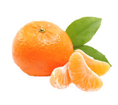 Maybe you would like to learn more about one of these? Satsuma Marmalade Recipe