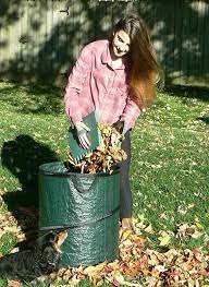 Lawn Bags Pop Up Leaf Bag With 2 Leaf Grabbers Or Scoops Heavy Duty 32 Gallon Reusable Collapsible Garden Bag Or Yard Waste Container By Fern And Foliage Garden Bags