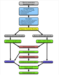 Zygomatic And Nasal Injury Rcemlearning