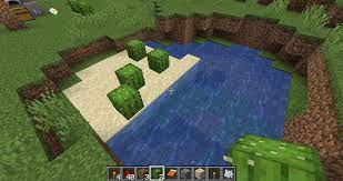 You can even grow things in the nether. Someone Can Explain Why My Cactus Doesn T Grow On This Setup I Already Wait 20 Minutes And None Of Them Is Growing 1 16 5 Minecraft