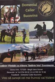 Průměrná doba trvání cesty je 6 hod 46 min. Casa Din Vis Vatra Dornei En Dorna Arini Rumania Opiniones Precios Planet Of Hotels