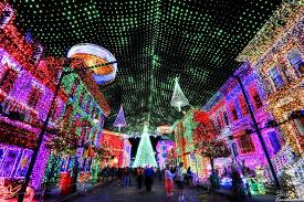 Osborne Family Lights Disney World Christmas Disney World Hollywood Studios Walt Disney World Orlando