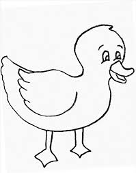 Waterfowl and other species of birds are often referred to by different names according to their groupings. 35 Best Duck Pictures For Colouring Ideas Animal Coloring Pages Coloring Pages For Kids Coloring Pages