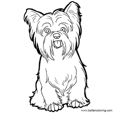 Some of the coloring page names are coloring yorkshire terrier, how to draw an yorkshire terrier dog drawing animal, yorkie terrier painting by cindy elsharouni, yorkshire terrier art a4 a3 sizes pencil drawing, yorkshire terrier coloring coloring, yorkshire terrier drawing drawing by catherine roberts, coloring yorkshire terrier, feisty. How To Draw A Yorkie Draw So Cute Novocom Top