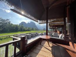 Image result for Vangueria domatiosa