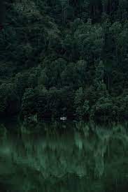Forest green design resources · high quality aesthetic backgrounds and wallpapers, vector illustrations, photos, pngs, mockups, templates and art. Nature Dark Green Aesthetic Wallpapers Wallpaper Cave