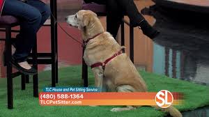 We did not find results for: Tlc House Pet Sitting Service Offers Professional Pet Sitting And Walking Services