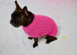 Pin By Needle Craft Lovers On Pawsome Pet Fashion Pet Fashion Dog Sweaters Crochet Hats