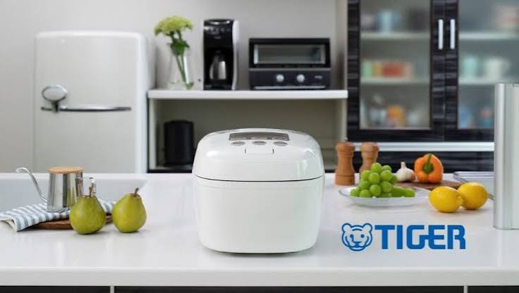 Mua nồi cơm điện Tiger ở đâu? Gợi ý nồi cơm điện Tiger hiện đại đáng mua