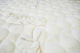 A latex foam mattress will have your spine right positioned during the night. Escondidomattress Com Home