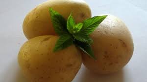 Le patate dove ci sia una di queste. Italia L Olio Di Menta Verde Come Alternativa Naturale Per La Conservazione In Post Raccolta Delle Patate Argenpapa