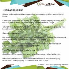 Air kencing, ubat cuci rahim, ubat cuci buah pinggang, ubat cuci telingga, ubat cuci telinga, ubat cuci usus besar, ubat semula masalah buah pinggang tanpa cuci darah dengan via www.karteldakwah.com. Dr Rafidah Abdullah On Twitter Air Rebusan Sup Tidak Mencuci Buah Pinggang Mohon Jangan Percaya