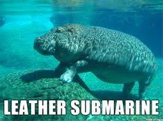 If Animal Names Were Honest 31 Pics Funny Animal Names Dangerous Animals Alternate Animal Names
