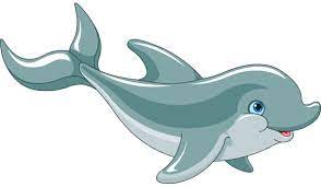 Little Dolphin Dolphins Animal Symbolism Animal Clipart
