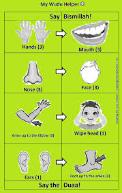 Wudu Chart Printable Islam For Kids Wudu Steps Charts